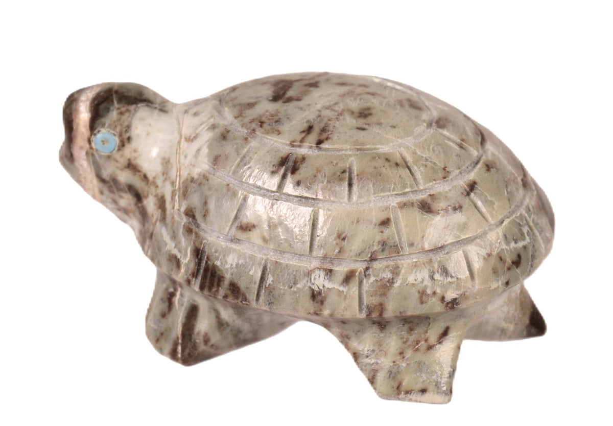 Zuni Pueblo Turtle Fetish
