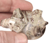 Zuni Pueblo Turtle Fetish