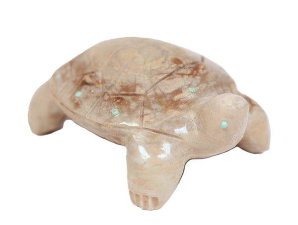 Zuni Pueblo Turtle Fetish By Alex Poncho