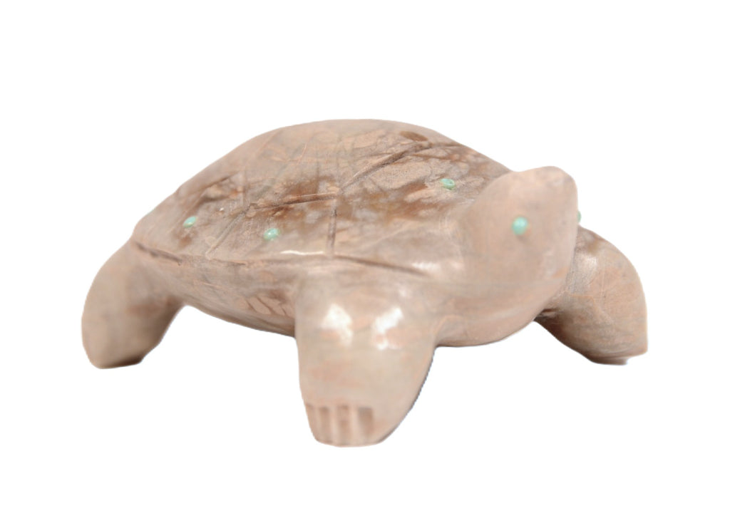 Zuni Pueblo Turtle Fetish By Alex Poncho