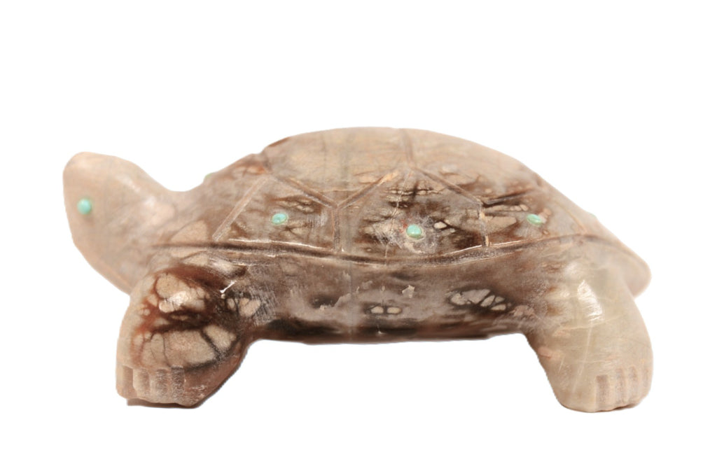 Zuni Pueblo Turtle Fetish By Alex Poncho