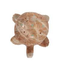 Zuni Pueblo Turtle Fetish By Dwight Guam