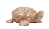 Zuni Pueblo Turtle Fetish By Dwight Guam