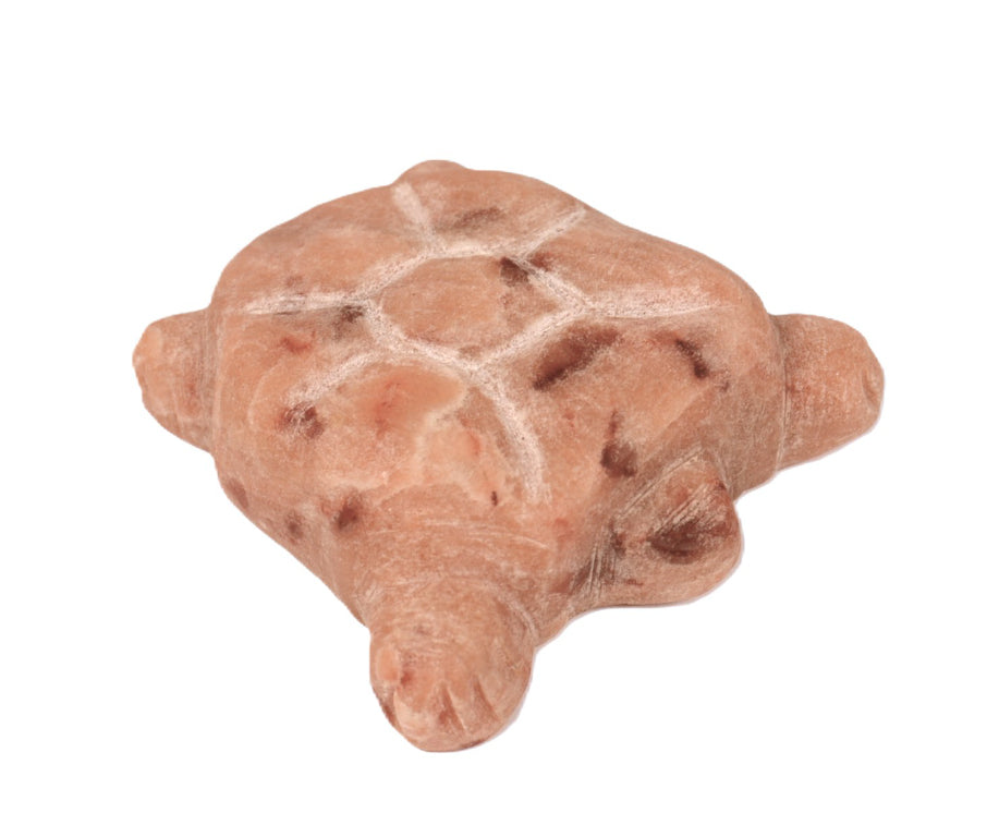 Zuni Pueblo Carved Turtle Fetish