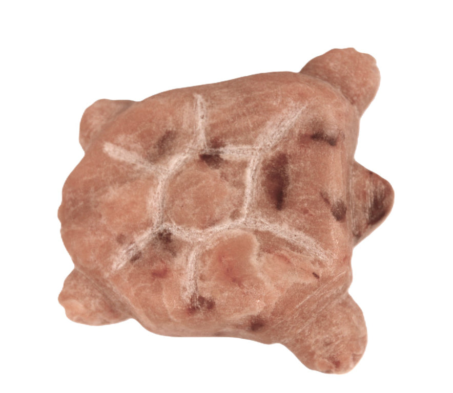 Zuni Pueblo Carved Turtle Fetish