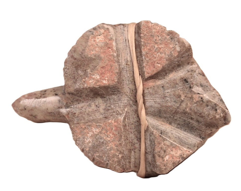 Zuni Pueblo Turtle Fetish