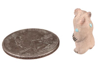 Zuni Pueblo Miniature Bear Fetish