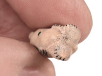 Zuni Pueblo Miniature Bear Fetish