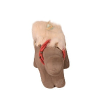 Zuni Pueblo Bear Fetish By Pauge Tsame
