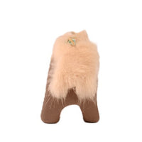 Zuni Pueblo Bear Fetish By Pauge Tsame