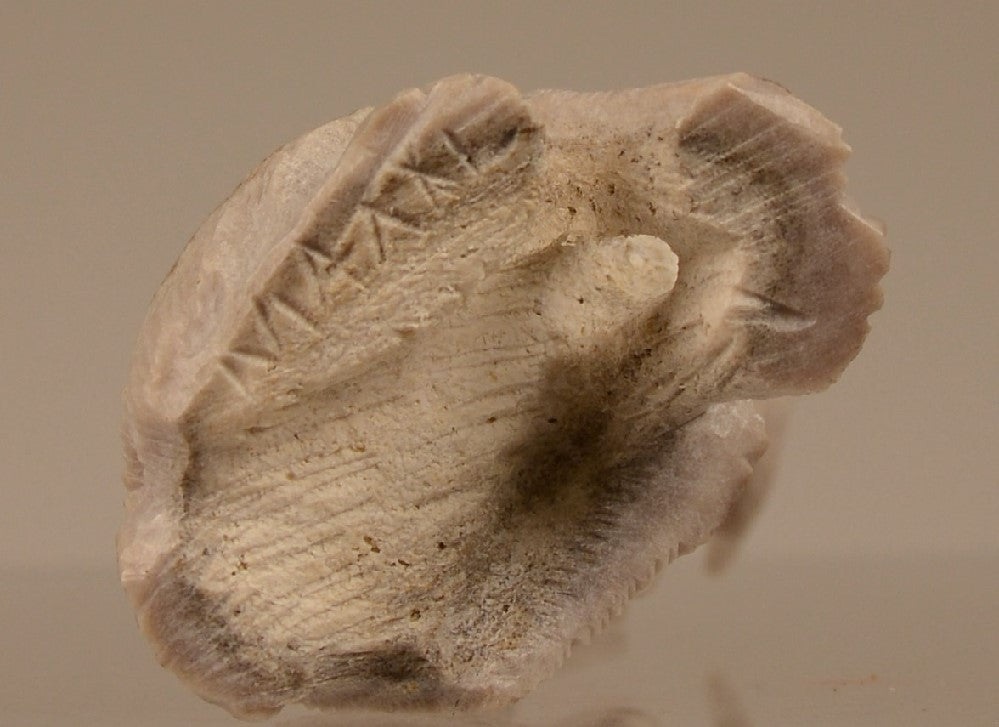 22-1496 - Image 7