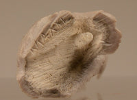 22-1496 - Image 7