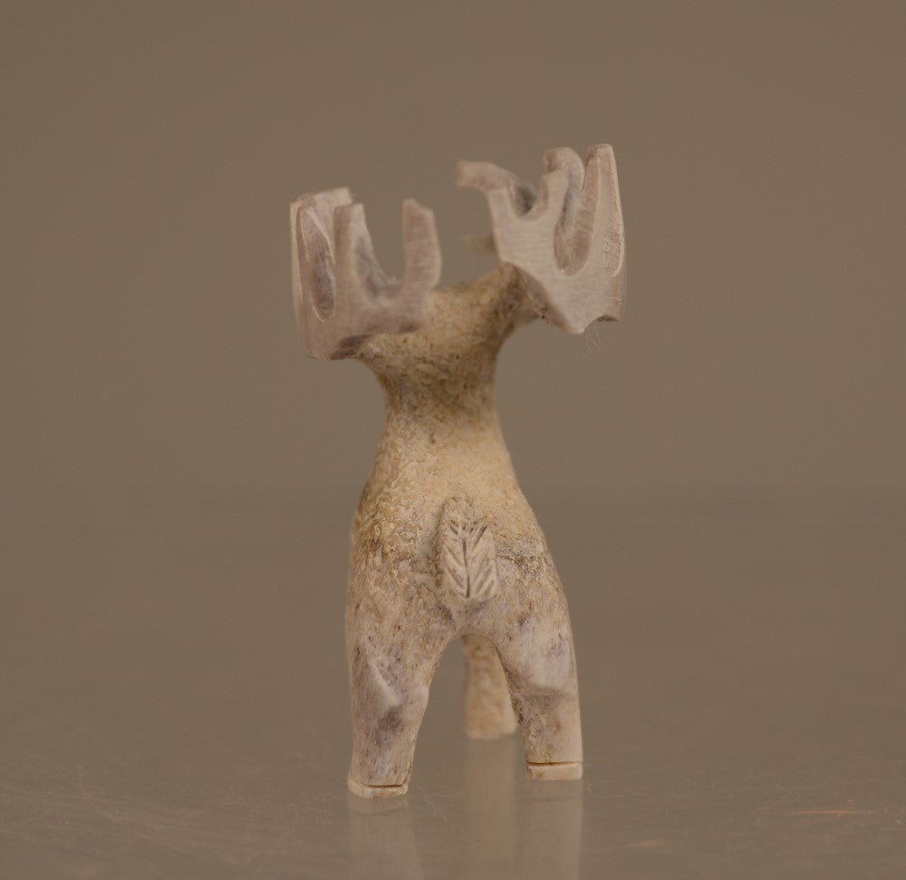 22-1498 - Image 4