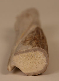 22-1499 - Image 6