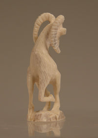 22-1504 - Image 5