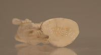 22-1504 - Image 7