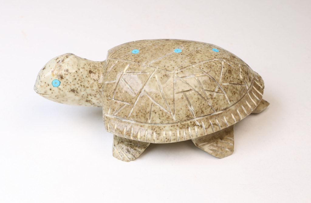 Larger Zuni Stone Turtle Fetish with 5 Turquoise Insets