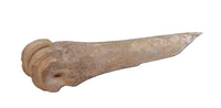 Ancient Fine Metapodal Bone Awl