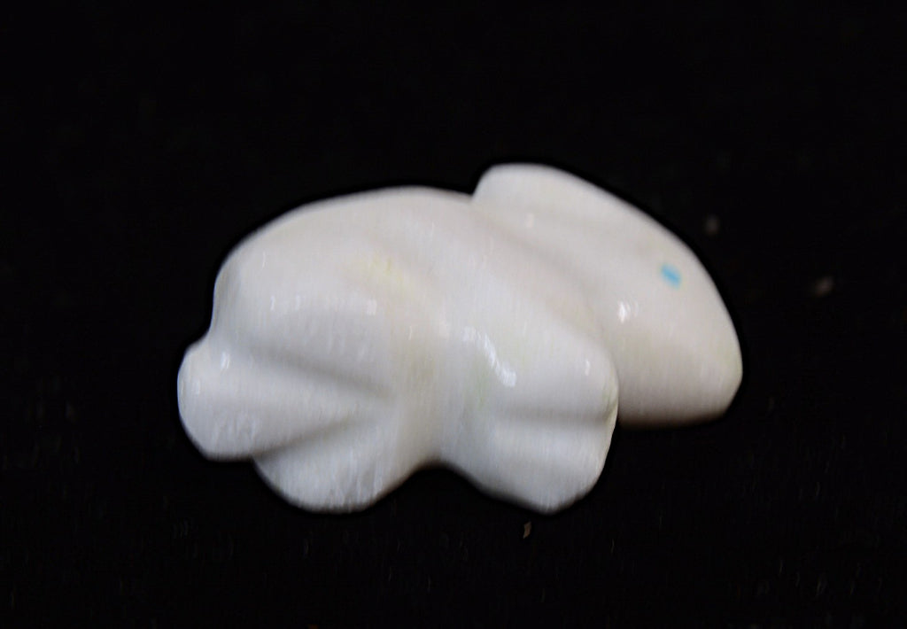 Zuni Pueblo White Bunny Fetish By Daisy Natewa