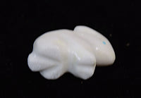 Zuni Pueblo White Bunny Fetish By Daisy Natewa
