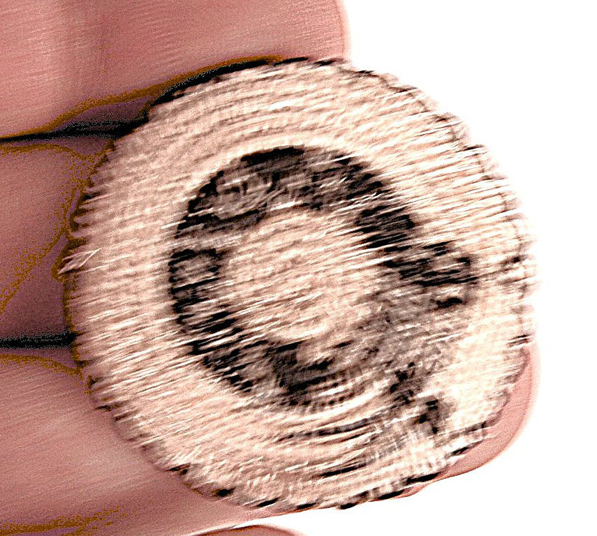 Miniature Pima Horsehair Snake Basket