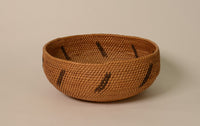 Paiute basketry bowl