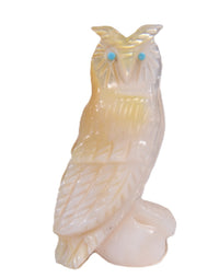 Zuni Pueblo Shell Owl Fetish By Celester Laete