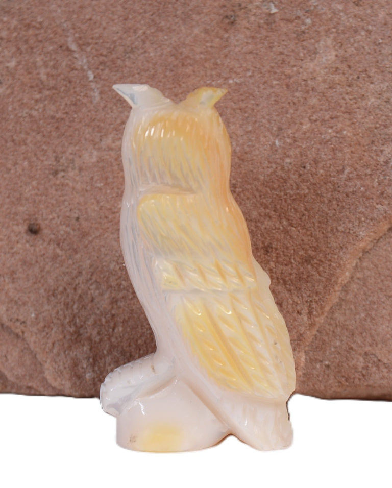 Zuni Pueblo Shell Owl Fetish By Celester Laete