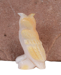 Zuni Pueblo Shell Owl Fetish By Celester Laete