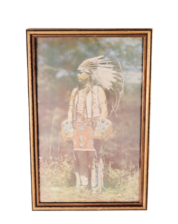 Vintage Fine Art Indian Framed Color Print