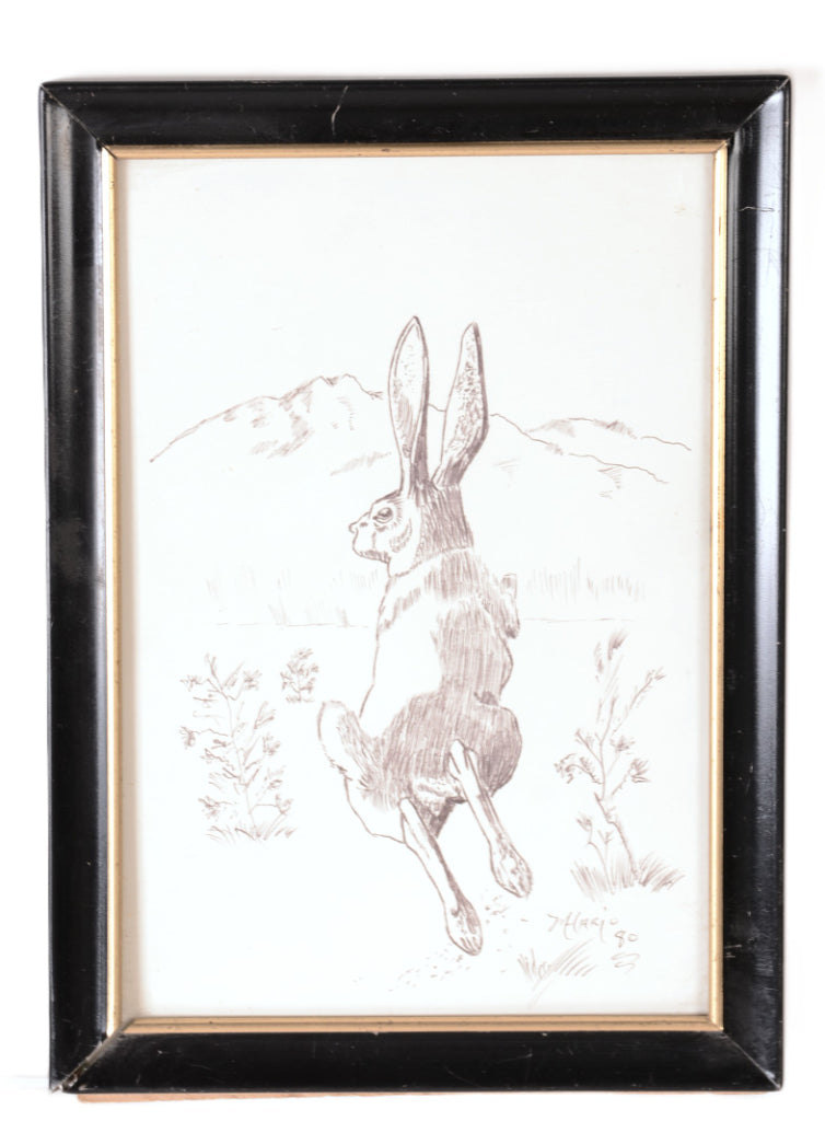 Fine Art Rabbit Ink Drawing By Mason Hario