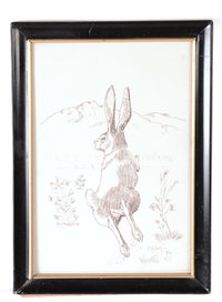 Fine Art Rabbit Ink Drawing By Mason Hario