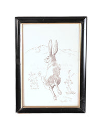 Fine Art Rabbit Ink Drawing By Mason Hario