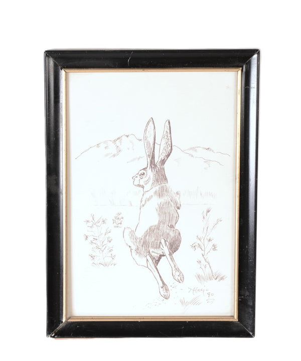 Fine Art Rabbit Ink Drawing By Mason Hario