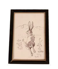 Fine Art Rabbit Ink Drawing By Mason Hario