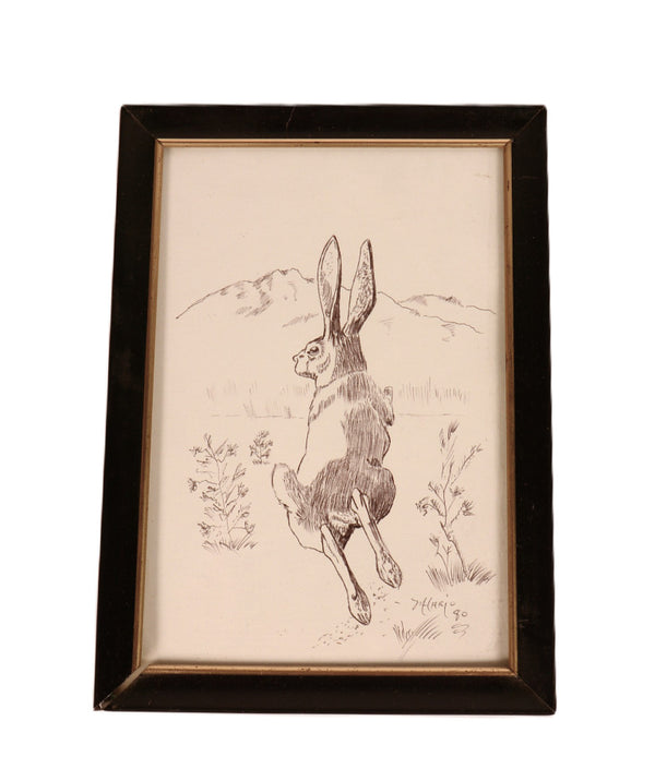 Fine Art Rabbit Ink Drawing By Mason Hario