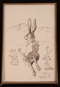 Fine Art Rabbit Ink Drawing By Mason Hario