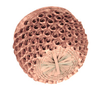 Penobscot Basket with Lid