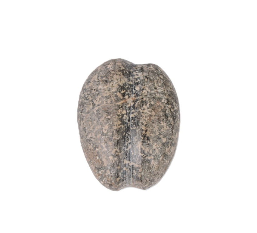 Columbia River Polished Speckled Granite Stone with Groove