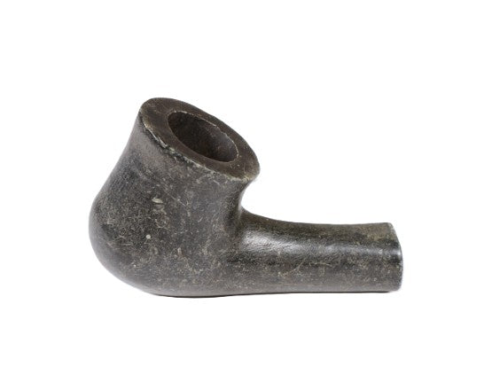 Indian Pipe