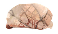 Zuni Pueblo Rock with a Snake Fetish By Michael Cable