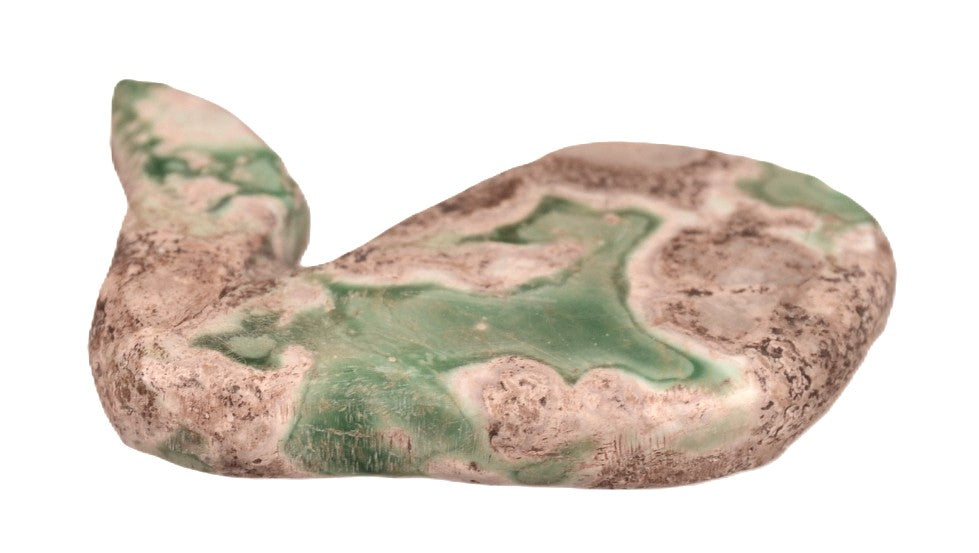 Zuni Pueblo Polywog - Tadpole Fetish