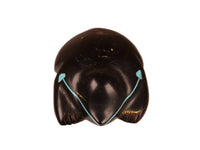 Zuni Pueblo Black Bear Fetish By J.Q.