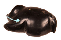 Zuni Pueblo Black Bear Fetish By J.Q.