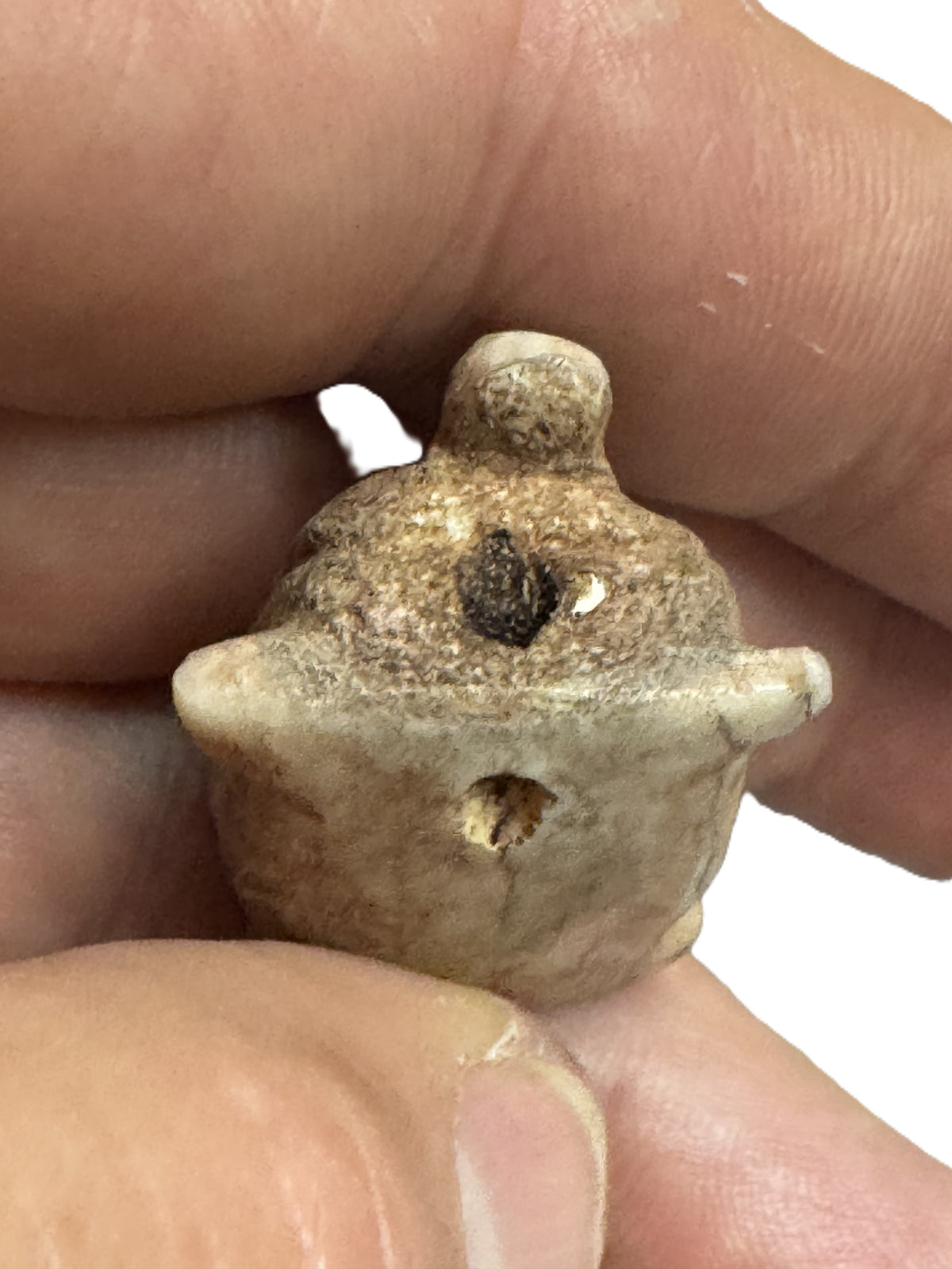 Vintage Zuni Fetish Turtle  Pendant with 2 Turquoise eyes