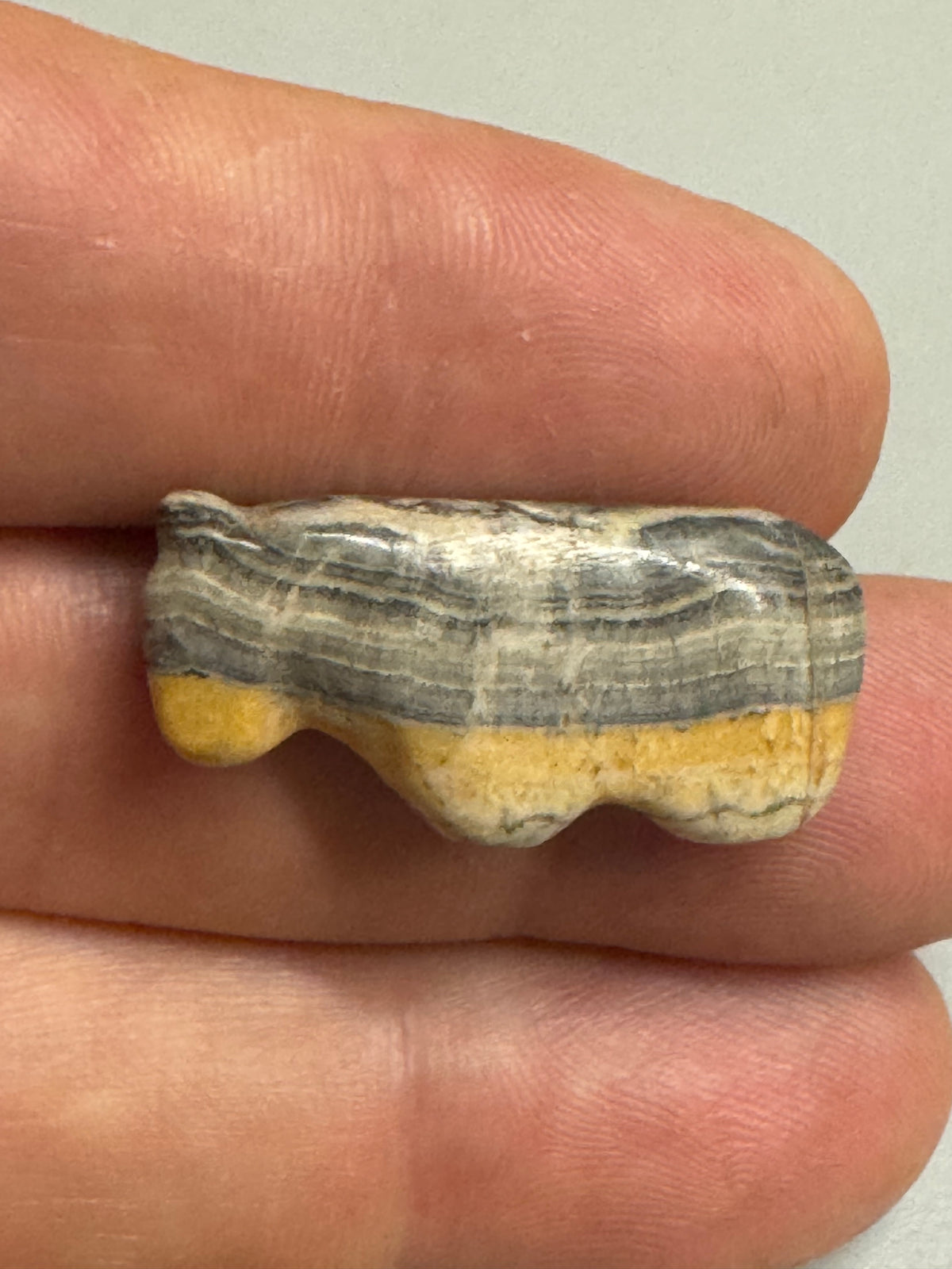 Antique Zuni / Navajo Horse Fetish