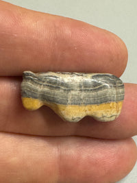 Antique Zuni / Navajo Horse Fetish