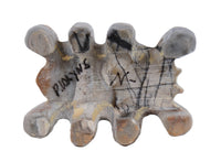 Zuni Pueblo Lobster Picasso Marble Fetish By P. Wayne