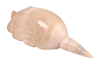 Zuni Pueblo Aardvark AntEater Fetish