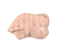 Zuni Pueblo Animal Fetish